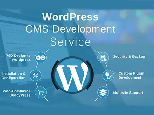 CMS Development Services, Digital Marketing Agency